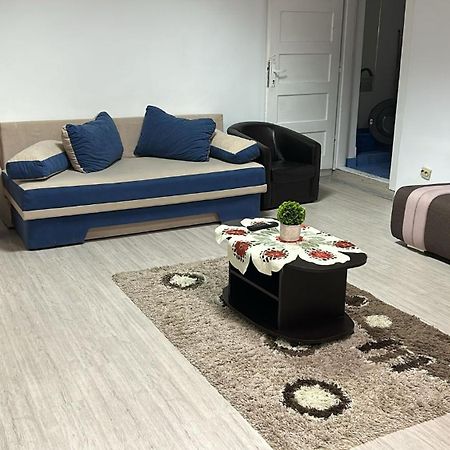 The Historical Family House-Cluj Napoca Center公寓 外观 照片